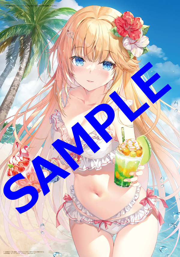 一生働きたくない俺が、クラスメイトの大人気アイドルに懐かれたら B2 